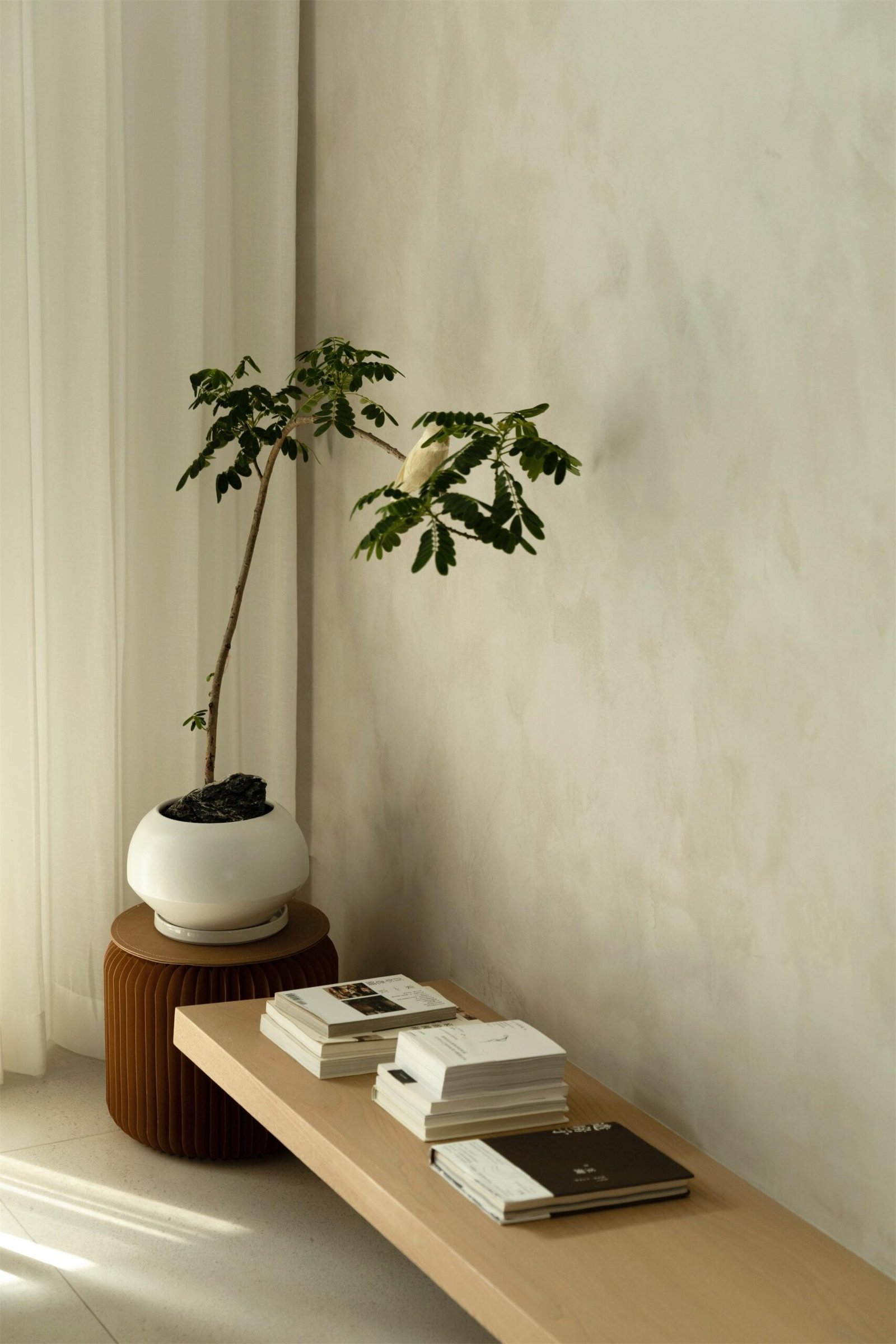 Rincón minimalista con banco de madera, libros apilados y planta natural, ejemplo de diseño funcional y calmado.